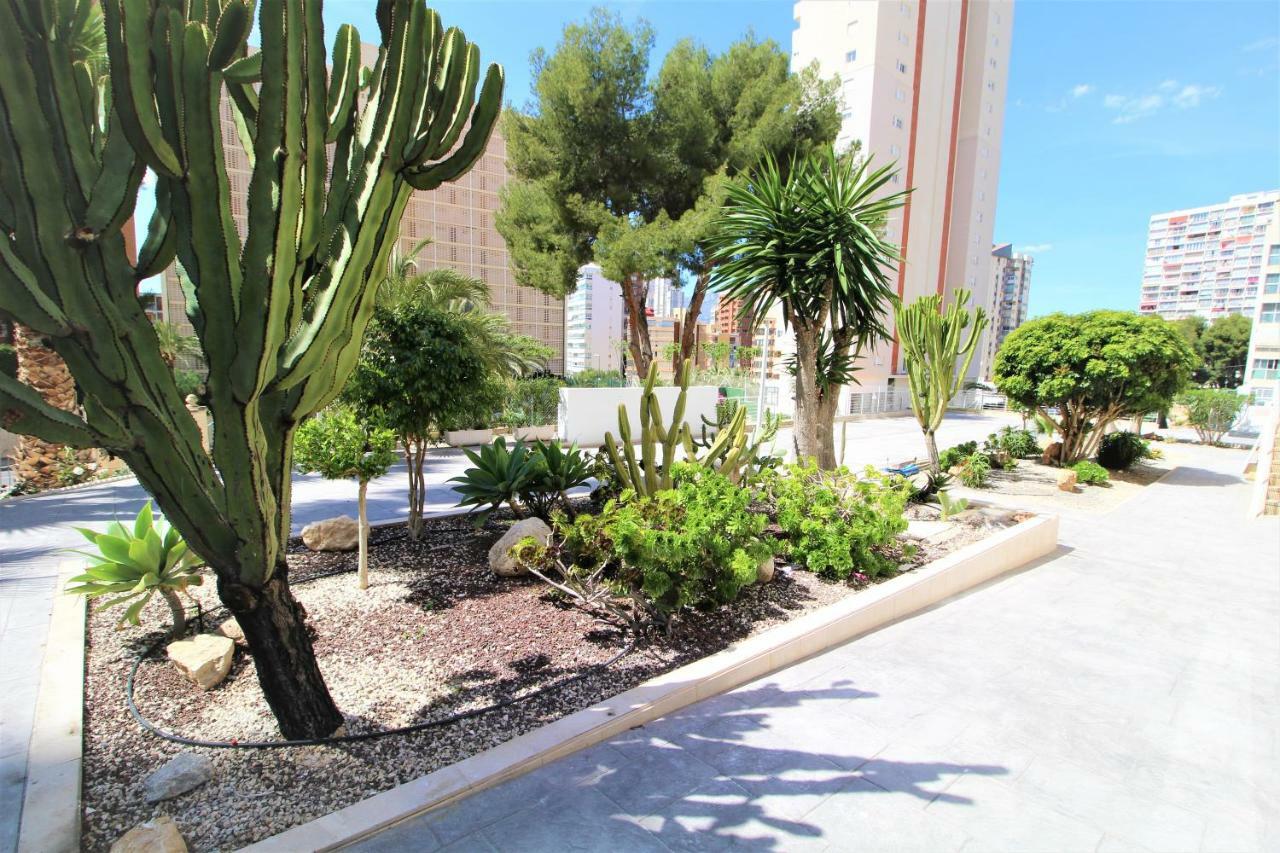 Atico Levante Torre Montecarlo Benidorm Kültér fotó